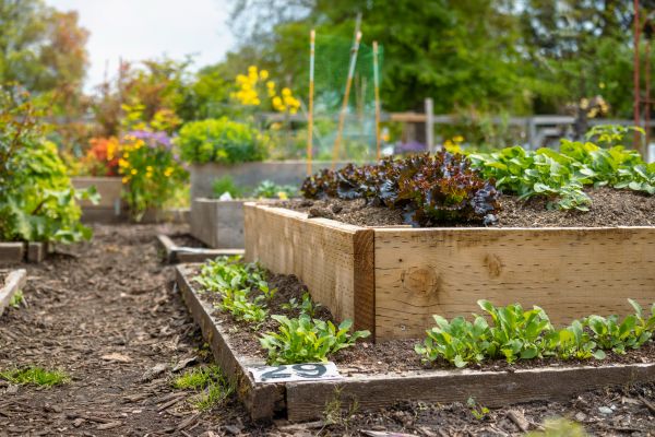 Community Garden Care